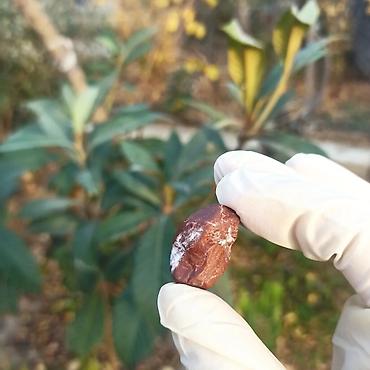 Qiymətli daşlar: Təbii Jasper daşı Satılır 💎 - Material: təbii jasper (yarıqiymətli — 6