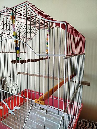 Heyvanlar: Qırmızı-ağ quş qəfəsi - Material: metal barmaqlıqlar, plastik altlıq — 4