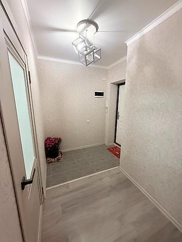 11: 1 комната, 36 м², Кара-Жыгач ж/м Элитка, 3 этаж, Косметический ремонт — 3