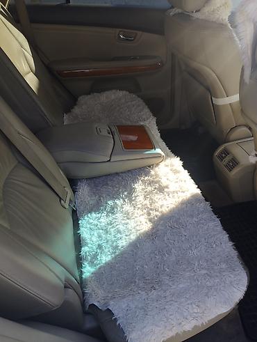 Lexus: Lexus RX: 2004 г., 3.3 л, Автомат, Бензин, Кроссовер — 8