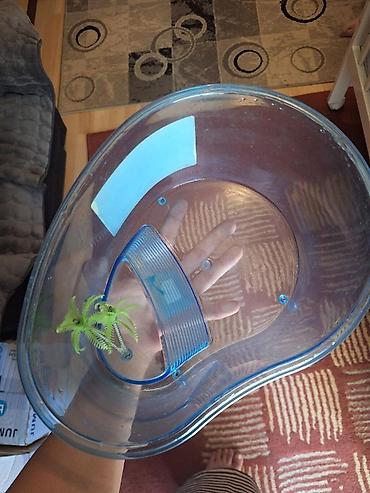 obuca ps: Plastična posuda za kornjače – Nobleza “Turtle Case” malo korisceno - — 3