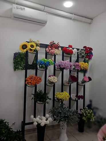 lent guller: Məhsul/xidmət: Gül Salonunda canlı və süni gül kompozisiyaları — 2