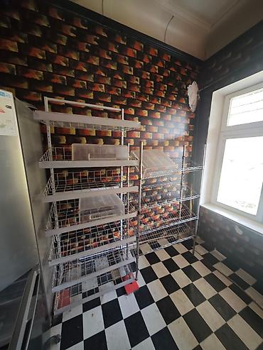 Другая мебель: Детский сад бала бакча диваны столы стулья матрасы Продаёт все вместе — 10