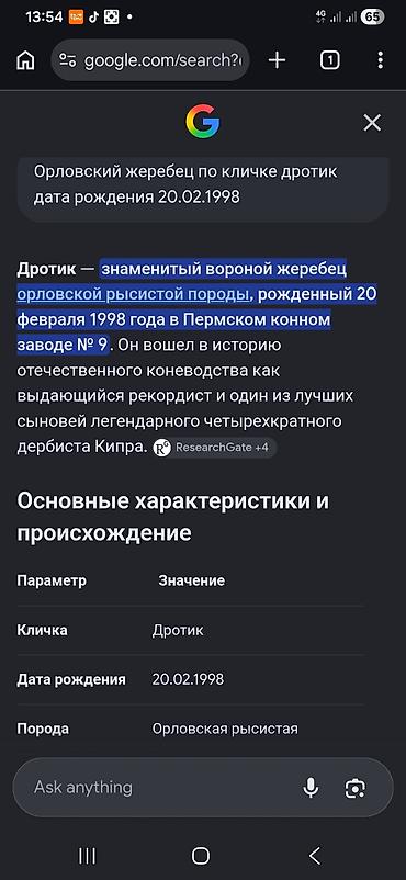 коне: Продаю | Конь (самец), Жеребец | Кара Жорго | Для разведения, Рабочий, Конный спорт | Племенные, Осеменитель — 8