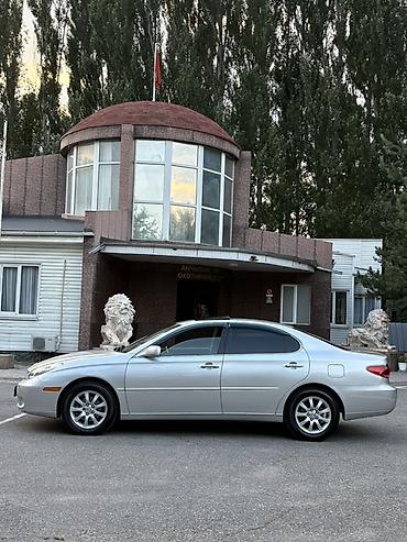 e53 amg: Lexus ES: 2004 г., 3 л, Автомат, Бензин, Седан — 3