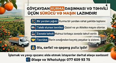 santexnik və kafel ustasi: Göyçaydan xurma daşınması və təhvili üçün sürücü və maşın axtarılır — 1