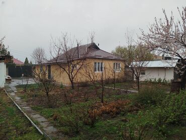 дом для бизнес: 5 соток, Бизнес үчүн, Кызыл китеп