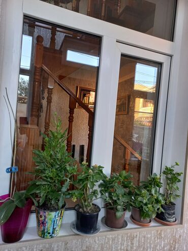 Həyət evləri və villaların satışı: Suraxanı 4 otaqlı, 150 kv. m, Yeni təmirli -da lalafo.az — 28 Həyət evləri və villaların satışı: Suraxanı 4 otaqlı, 150 kv. m, Yeni təmirli — 28