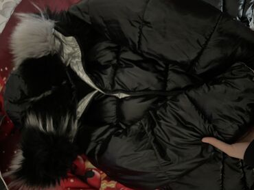 fosfor kurtka: Kurtka 
Standart ölçüde