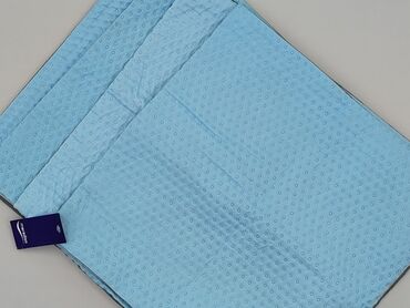 PL - Pillow 41 x 41, color - Light blue, condition - Very good