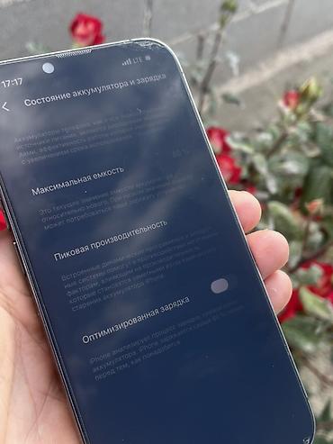 iphone 17 plus: IPhone 13 Pro, Б/у, 128 ГБ, Sierra Blue, Чехол, 80 % — 9