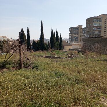 Torpaq sahələrinin satışı: 16 sot, Tikinti, Mülkiyyətçi, Kupça (Çıxarış) — 10