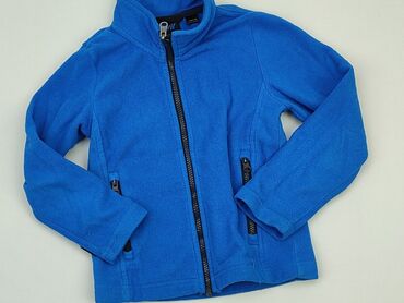 Sweatshirts: Sweatshirt, Crivit Sports, 5-6 years, 110-116 cm, condition - Good