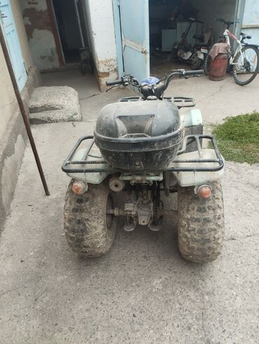 пластик на мотоцикл купить: Квадроцикл Бензин, 200 куб. см, Взрослый