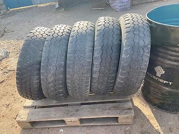 g2 master: Шины 235 / 80 / R 16, Всесезонная, Новый, Комплект, Внедорожные (АТ/МТ), Япония, DUNLOP — 2