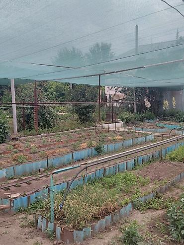 арбуз поля: 17 соток, Для бизнеса, Красная книга, Тех паспорт — 8
