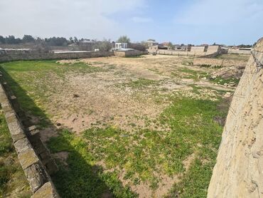 Torpaq sahələrinin satışı: 25 sot, Tikinti, Mülkiyyətçi, Kupça (Çıxarış) -da lalafo.az — 17 Torpaq sahələrinin satışı: 25 sot, Tikinti, Mülkiyyətçi, Kupça (Çıxarış) — 17