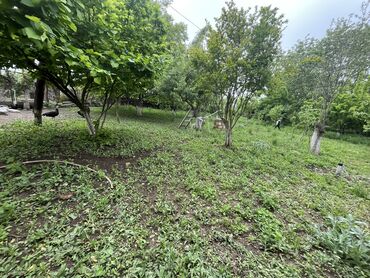 Torpaq sahələrinin satışı: 7 sot, Tikinti, Mülkiyyətçi, Kupça (Çıxarış) -da lalafo.az — 3 Torpaq sahələrinin satışı: 7 sot, Tikinti, Mülkiyyətçi, Kupça (Çıxarış) — 3