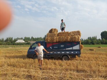 я ищу работа водитель: Жумуш издейм. Гео: Жалал - Абад Жаш: 29 Ушул эки машинанын бирине