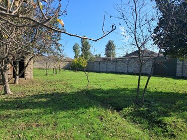 Torpaq sahələrinin satışı: Kənd təsərrüfatı — 15