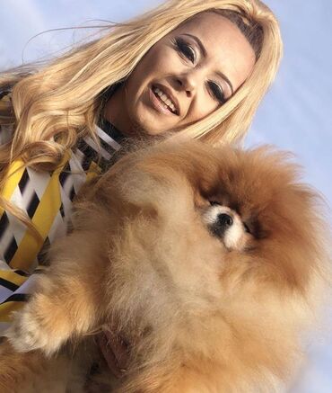 Psi: Pomeranski špic,Pomeranac,Pomeranian,Boo štenci Ako ste odgovorna — 3