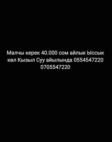 электро пастух: Требуется Пастух, Оплата Ежемесячно, Проживание