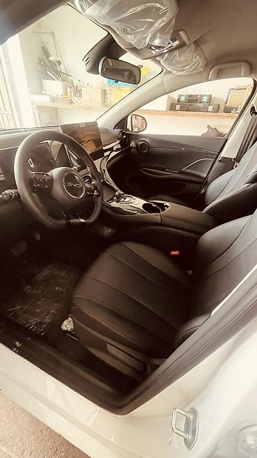 BYD: BYD E2: 2025 г., 0.1 л, Вариатор, Электромобиль, Хэтчбэк — 9