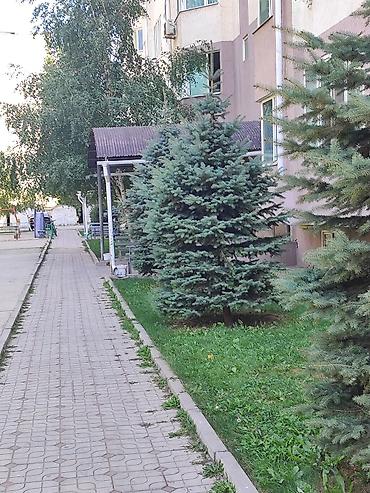 Продажа квартир: 1 комната, 43 м² — 1