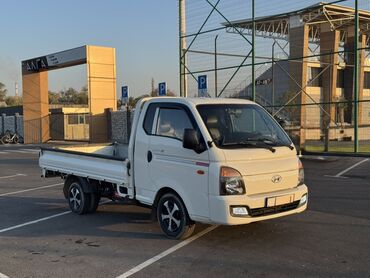 передвижной дом: Легкий грузовик, Hyundai, Стандарт