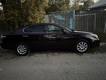 camry 2 4: Toyota Windom: 2003 г., 3 л, Автомат, Седан — 3