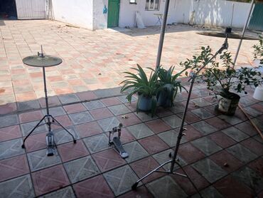 Qulaqcıqlar: Musiqi aləti