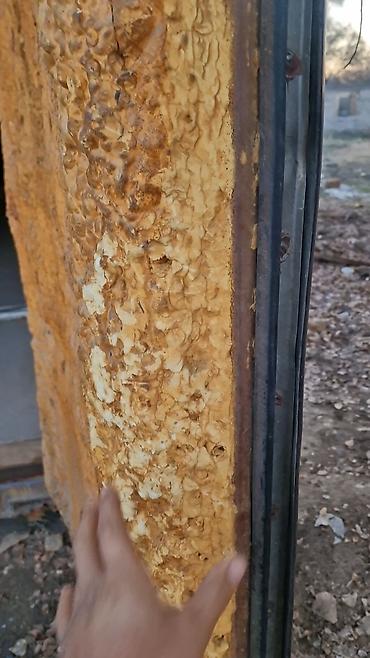 Промышленные холодильники и комплектующие: Модульная холодильная/морозильная 40 тоник Назначение: - Хранение at lalafo.kg — 9 Промышленные холодильники и комплектующие: Модульная холодильная/морозильная 40 тоник Назначение: - Хранение — 9