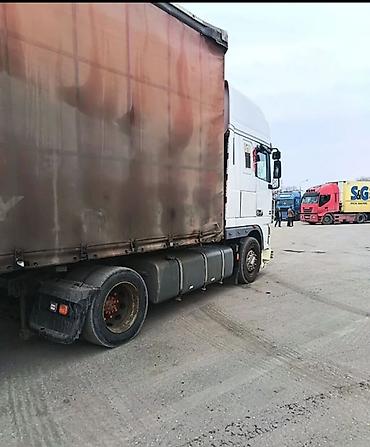 Yük maşınları: DAF XF yük maşını (təklif) Xüsusiyyətlər: - Marka/model: DAF XF - — 2