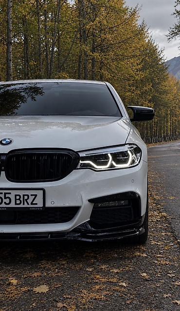 BMW: BMW 5 series: 2020 г., 2 л, Автомат, Бензин, Седан — 3