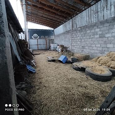 Продажа коттеджей и домов: Продаётся дом с большим навесом и благоустроенным двором. Основные — 14