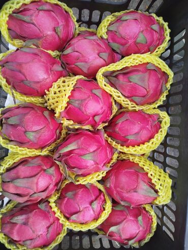 кымыз с медом: Питахайя (драконов фрукт), красная кожура - Отборные плоды в защитных