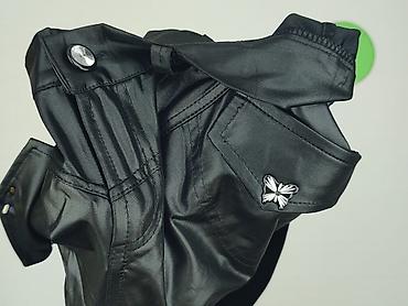 jogger: Szorty damskie, rozmiar XL — 5