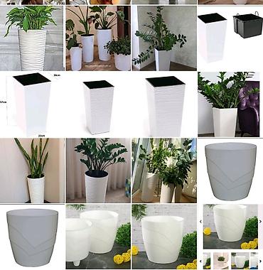 plants: Цветочные горшки Лотки, Висячие горшки, Прямоугольные горшки — 2