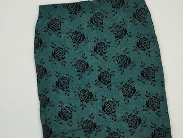 spódnice zielone plisowane: Spódnica, 4XL, stan - Bardzo dobry