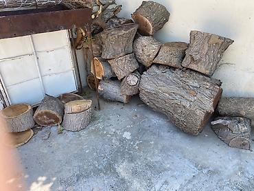 dekor odun: Təbii ağac kötükləri və odun parçaları Diametr 35-40sm - Nəhəng və — 2