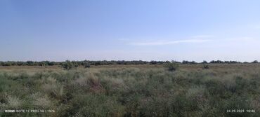 аренда частного дома: 25000 sot, Kupça (Çıxarış)