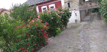 Həyət evləri və villaların satışı: 4 otaqlı, 182 kv. m, Kredit yoxdur, Orta təmir -da lalafo.az — 6 Həyət evləri və villaların satışı: 4 otaqlı, 182 kv. m, Kredit yoxdur, Orta təmir — 6