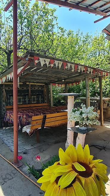 квартира 2 к: Продаем дачу с.Горная Маевка . 5сотоккрасная книга (2 — 6