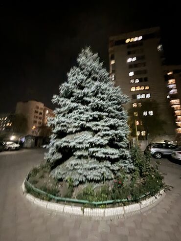 Продажа квартир: 3 комнаты, 138 м², Элитка, 3 этаж, Евроремонт — 21