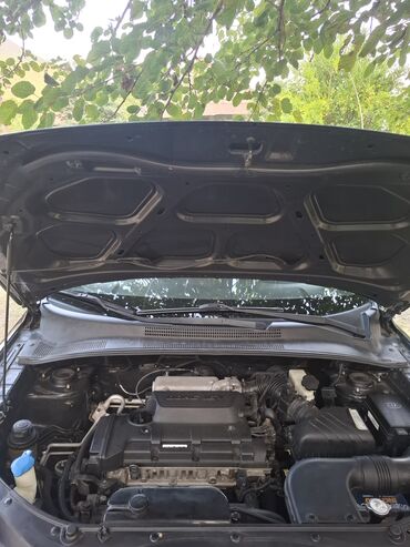 Kia: Kia Sportage: 2 l | 2008 il Ofrouder/SUV — 11