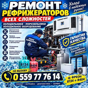 Профессиональный ремонт холодильников и морозильных камер. Что