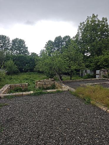 ismayillida torpaq sahesi satilir: 8 sot, Tikinti, Mülkiyyətçi, Kupça (Çıxarış), Texniki pasport — 3