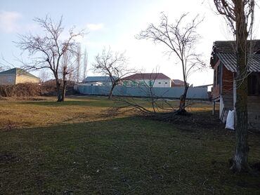 Torpaq sahələrinin satışı: 20 sot, Tikinti, Mülkiyyətçi, Kupça (Çıxarış) — 5