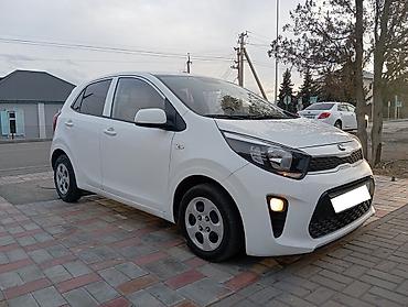 Kia: Kia Picanto: 2019 г., 1 л, Автомат, Бензин, Хэтчбэк — 1