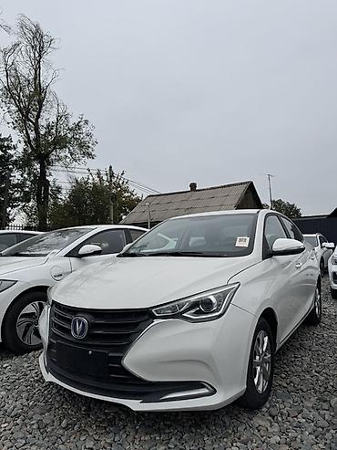 Changan: Changan Alsvin: 2020 г., Автомат, Бензин, Седан — 2